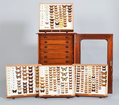 Lot 73 - Lepidoptera/Entomology: A Cased Collection of...
