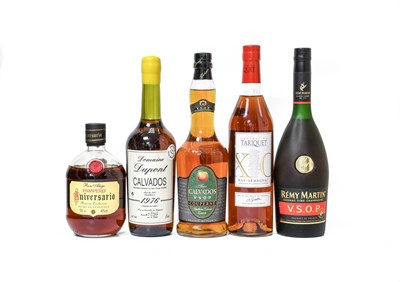 Lot 4101 - Rémy Martin V.S.O.P. Fine Champagne...