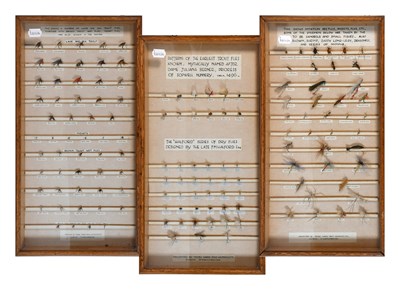Lot 3199 - Three Cased Displays of Flies
