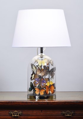 Lot 88 - Entomology: A Glass Jar Butterfly Lamp, modern,...