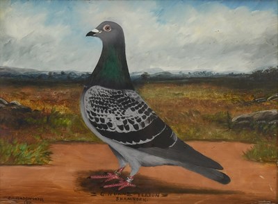 Lot 315 - C H Wadsworth (Early 20th Century) "Shamrock" "...