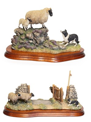 Lot 43 - Border Fine Arts Sheep Groups Comprising:...