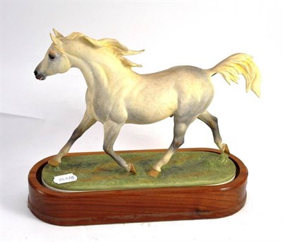 Lot 253 - A Royal Worcester figure of an Arab stallion, with certificate