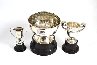 Lot 309 - Three silver trophy cups with socles