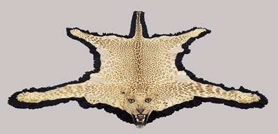 Lot 16 - Taxidermy: Indian Leopard Skin Rug (Panthera...