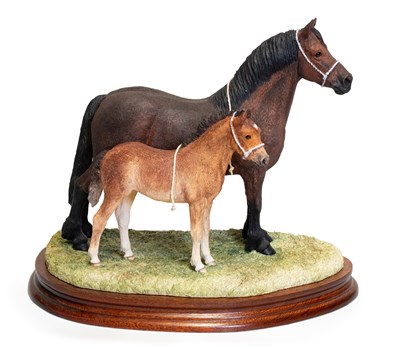 Lot 19 - Border Fine Arts 'Welsh Cob Mare and Foal'...