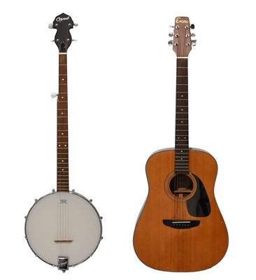 Lot 28 - Ozark 5-String Banjo