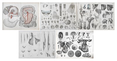 Lot 115 - Medical Prints