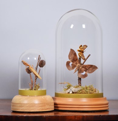 Lot 1139 - Entomology: A Preserved Preying Mantis and a...