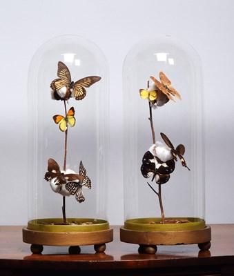 Lot 1140 - Entomology: A Pair of Butterfly Domes, modern,...