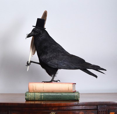 Lot 14 - Anthropomorphic Taxidermy: The Crow of...
