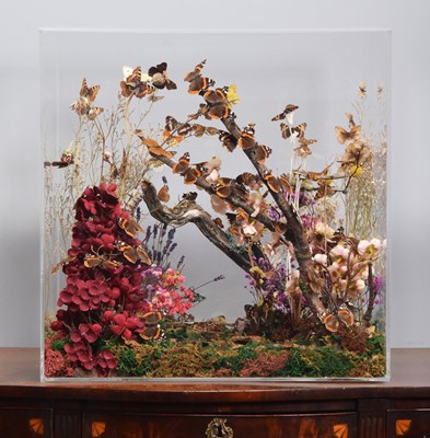 Lot 77 - Entomology: A Large Diorama of Native British...