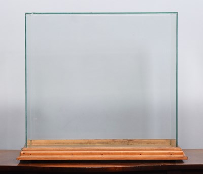 Lot 182 - Taxidermy: Table Display Case, a modern...
