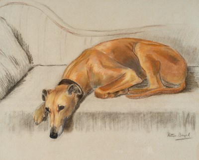 Lot 1012 - Peter Biegel (1913-1987) Greyhound study...