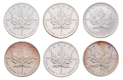 Lot 303 - Canada, 6x 1oz Fine Silver Maple Leaf Coins,...