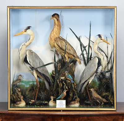 Lot 307 - Taxidermy: A Large Late Victorian Case of...