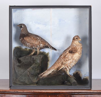 Lot 314 - Taxidermy: A Late Victorian Cased Pair of...