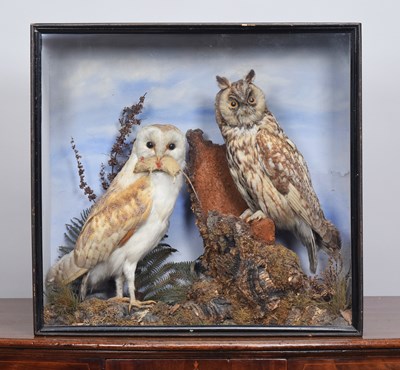 Lot 136 - Taxidermy: A Late Victorian Cased Long-eared...