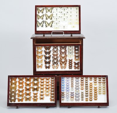 Lot 90 - Lepidoptera/Entomology: A Collection of...