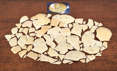 Lot 179 - Natural History: A Fragmented Elephant Bird...