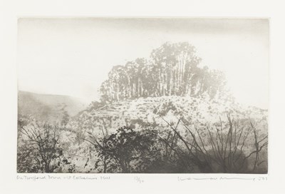 Lot 489 - Norman Ackroyd CBE, RA (1938-2024) "Twyford...