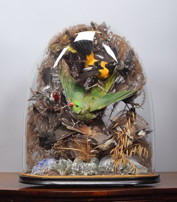 Lot 301 - Taxidermy: A Late Victorian Diorama of...