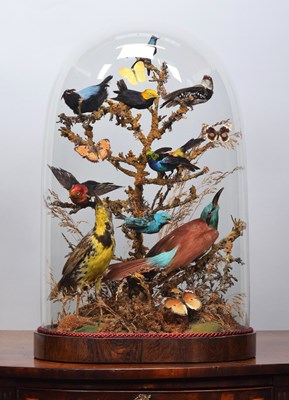 Lot 167 - Taxidermy: A Late Victorian Diorama of...