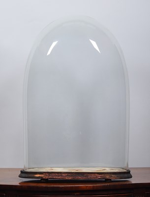 Lot 152 - Glass Domes: A Large Period Oval Glass Dome,...
