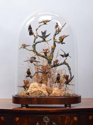 Lot 235 - Taxidermy: A Late Victorian Diorama of South...