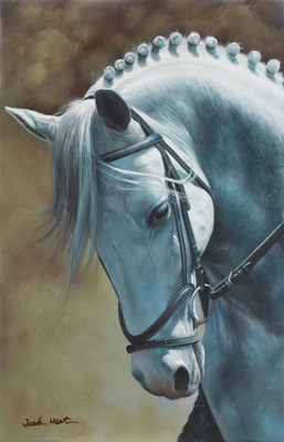 Lot 1128 - Jacob Hunt (b.1985) Head study of a grey horse...
