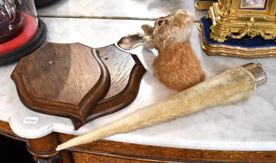 Lot 1155 - Taxidermy: A European Hare Mask, Two Rowland...