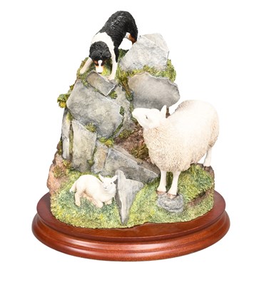 Lot 1072 - Border Fine Arts 'On the Edge', model No....