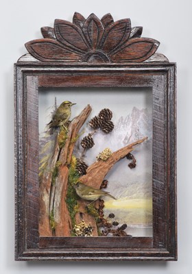 Lot 1263 - Taxidermy: A Wall Cased Pair of Goldcrests...