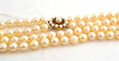 Lot 123 - Double strand pearl necklace with 9ct gold clasp