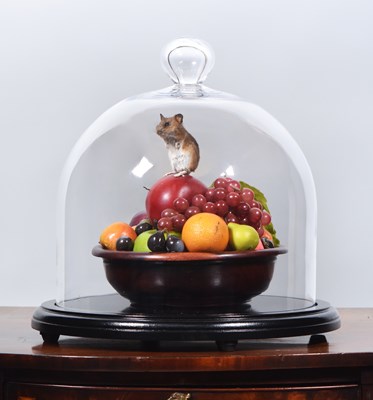 Lot 255 - Taxidermy: A Wood Mouse Under a Glass Dome...