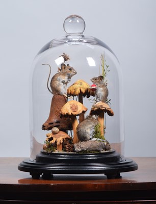 Lot 315 - Anthropomorphic Taxidermy: A Group of Wood...