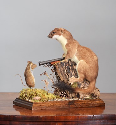 Lot 304 - Anthropomorphic Taxidermy: A Stoat Robber and...