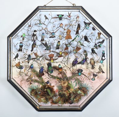 Lot 320 - Taxidermy: A Late Victorian Octagonal Display...