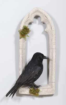 Lot 1156 - Taxidermy: A Carrion Crow Within a Church...