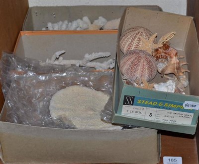 Lot 185 - Collection of assorted sea shells and coral