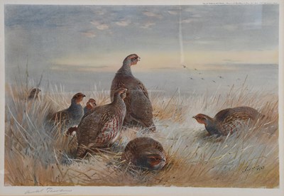 Lot 1054 - After Archibald Thorburn FZS (1860-1935) A...
