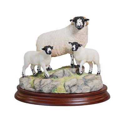 Lot 1073 - Border Fine Arts 'Rough Fell Ewe and Lambs',...