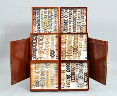 Lot 95 - Lepidoptera/Entomology: A Cabinet Collection...