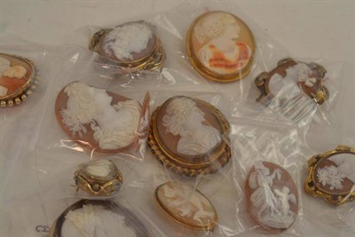 Lot 319 - Twelve rolled gold cameo brooches (two unmounted)