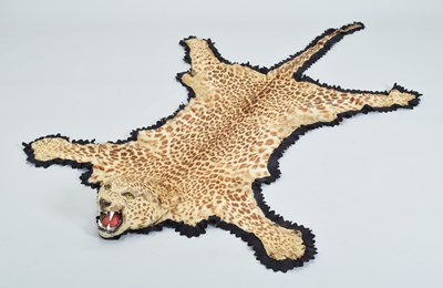 Lot Taxidermy: Indian Leopard Skin Rug (Panthera...