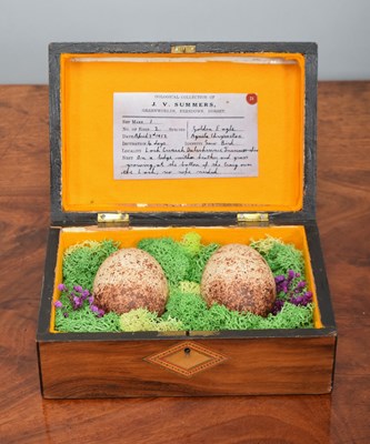 Lot Natural History: A Pair of Replica Golden...