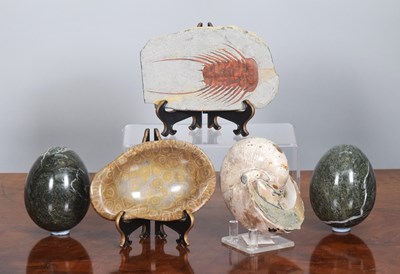 Lot 1273 - Natural History: A Collection of Fossils, to...