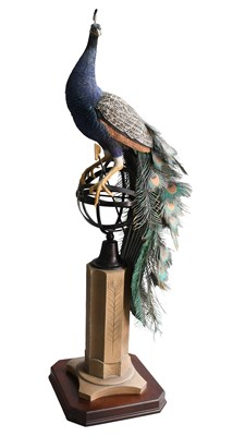 Lot 1090 - Border Fine Arts 'Regal Splendour' (Peacock),...