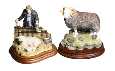 Lot 1066 - Border Fine Arts 'Herdwick Tup', model No....