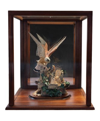 Lot 1091 - Border Fine Arts 'The Kestrels', model No....